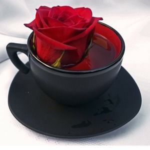 Meet your Posher, Kia